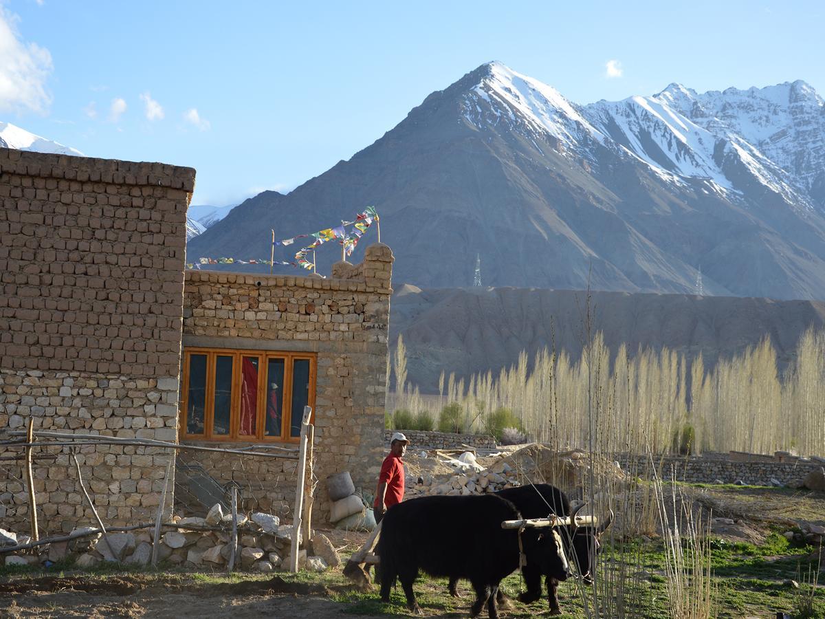 فندق Nimmu House Ladakh Nimu المظهر الخارجي الصورة