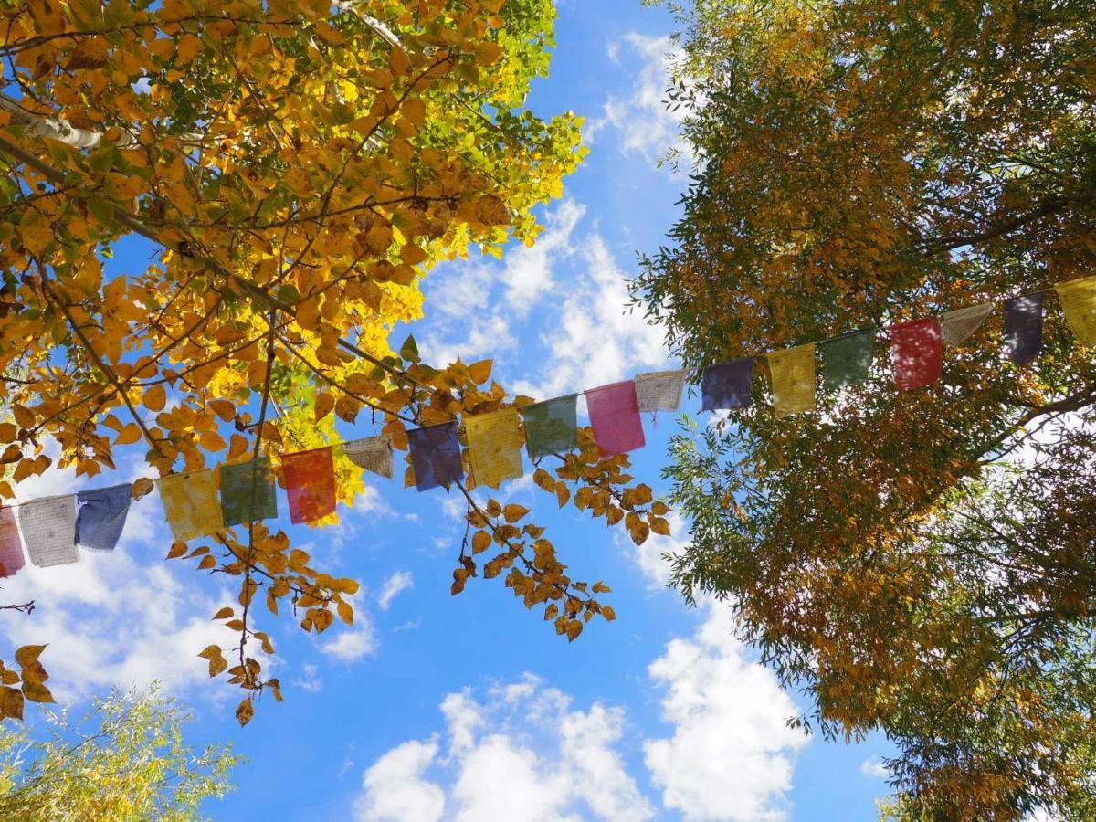 فندق Nimmu House Ladakh Nimu المظهر الخارجي الصورة