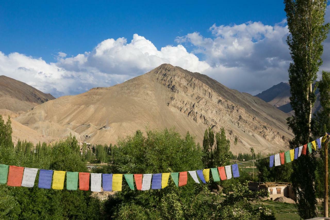 فندق Nimmu House Ladakh Nimu المظهر الخارجي الصورة